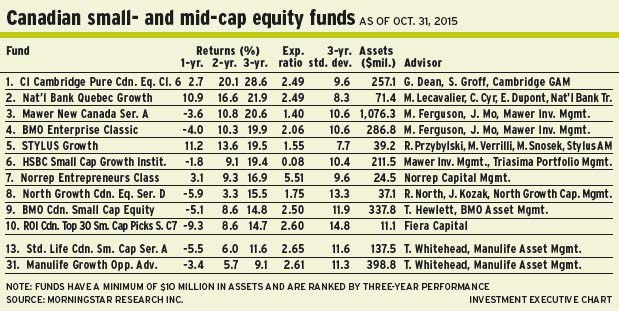 Canadian small- and mid-cap equity funds alternate text for this image
