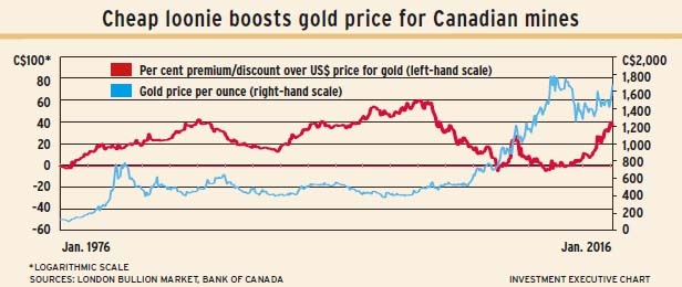 Cheap_loonie alternate text for this image