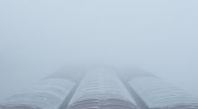 Fog of uncertainty alternate text for this image