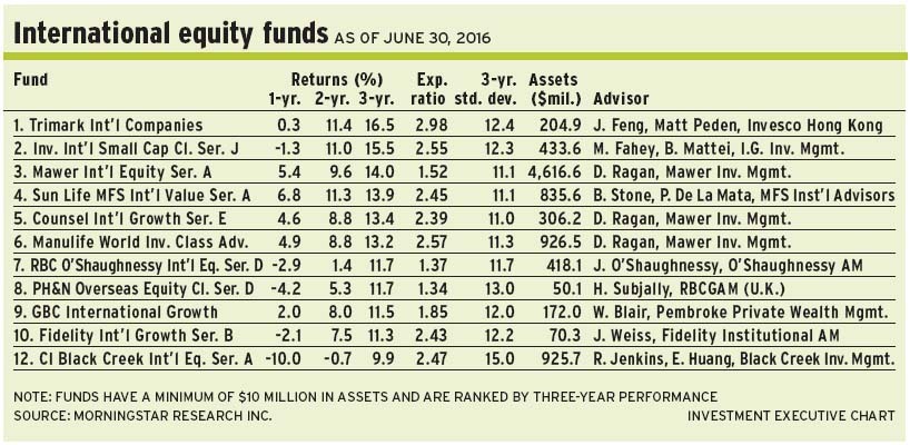 Int_equity_funds alternate text for this image