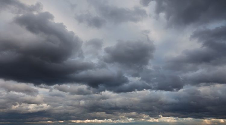 Pessimism reigns in insurance industry, KPMG survey finds