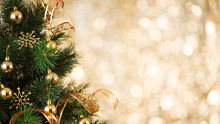 Xtree.jpeg alternate text for this image
