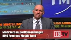Portfolio manager: Opportunities in gold equities