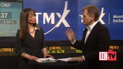 How to create and work with a financial advisory team