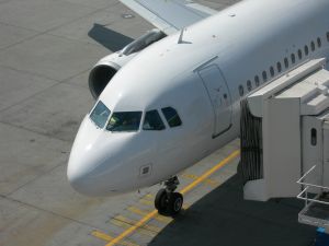 Air travel alternate text for this image