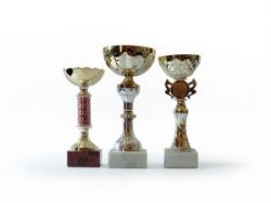 Award winners alternate text for this image