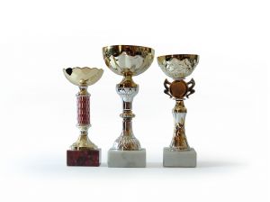 Award winners alternate text for this image
