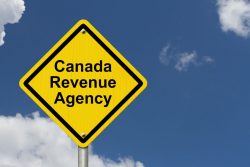 CRA alternate text for this image
