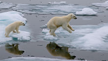 Climate_change alternate text for this image