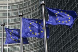 EU_flags alternate text for this image