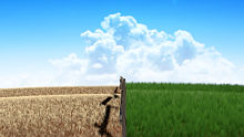 Greener pastures alternate text for this image