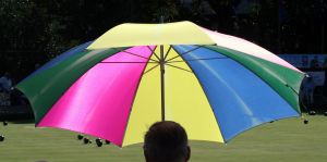 Investor protection umbrella alternate text for this image