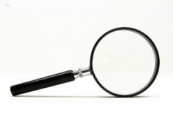 Privacy alternate text for this image