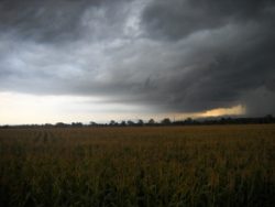 Summer storm alternate text for this image