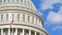 US Capitol dome detail alternate text for this image