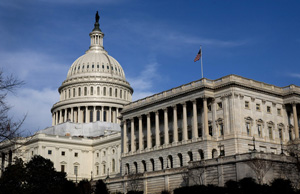 US capitol alternate text for this image