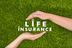 50460539 – family life insurance, protecting family, family concepts. alternate text for this image