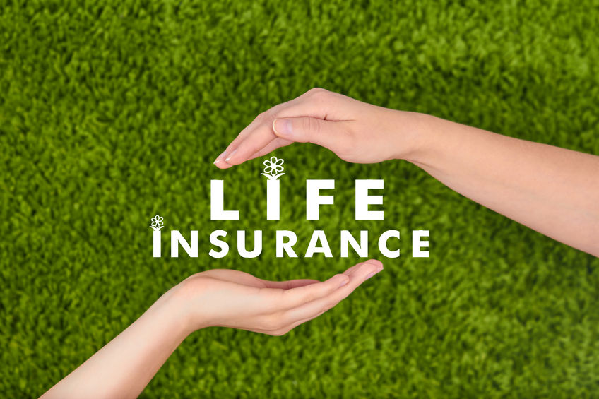 50460539 – family life insurance, protecting family, family concepts. alternate text for this image