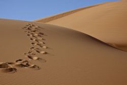 5710080 – footprints on desert sand dune with blue sky alternate text for this image