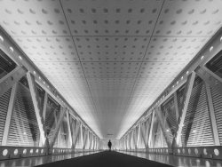 Silhouette Of Man Standing On Elevated Walkway alternate text for this image