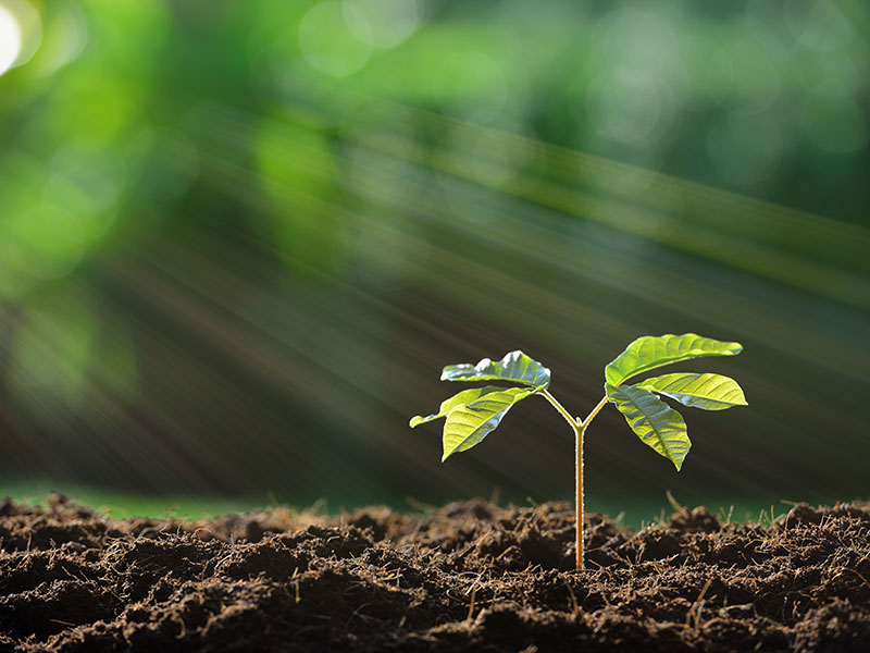 growth_investing_sustainable_500593292_Thinkstock alternate text for this image
