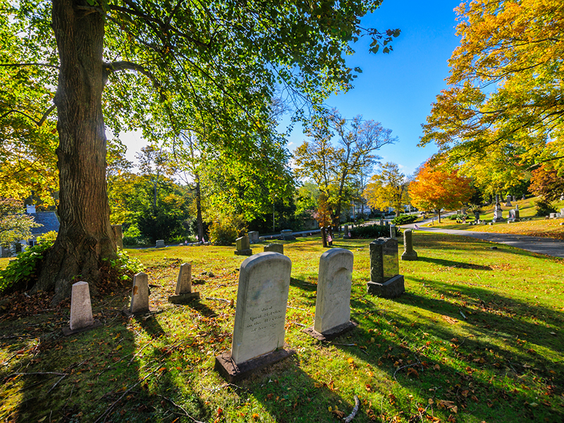 Ancient Cemetery alternate text for this image