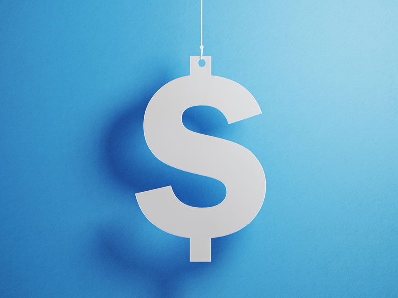 dollar-sign alternate text for this image