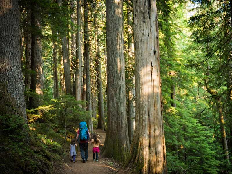 Father and daughters immersed in nature alternate text for this image