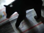 Shot of bear figuring standing on financial paper
