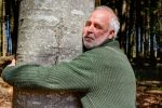 An older man lovingly hugs a tree trunk and feels relaxed and good. Hugging a tree is good for the immune system, protects against heart attack, depression, stress and burnout.