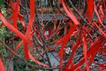 Red tape